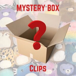 Clip Squishmallow Random Mystery Box
